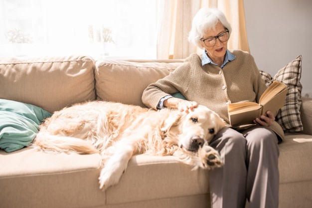 Рекомендуемые породы собак для пожилых людей